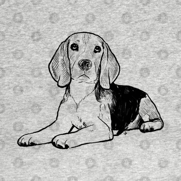 Beagle Sketch by Sketchy